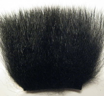 polar bear black premium